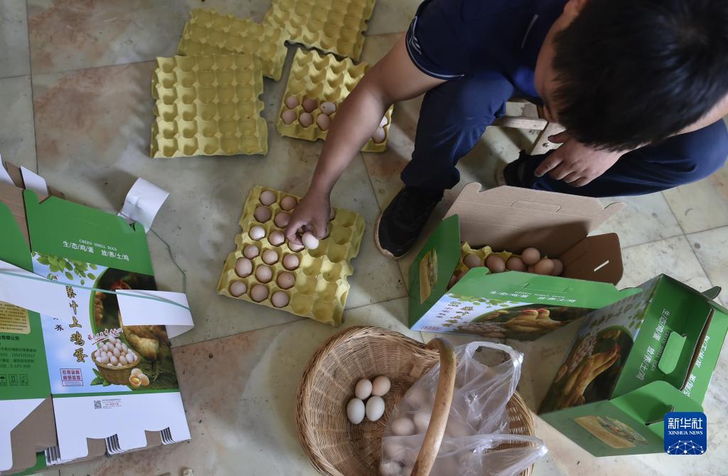 捕鱼在线上下分
